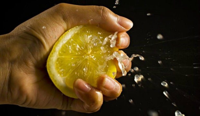 Limon Sıkacağı Çeşitleri